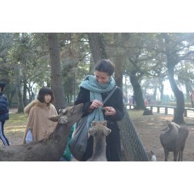 Dora先生【英会話 - 京都市】