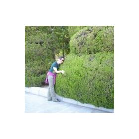 Megumi先生【英会話 - 松山市】