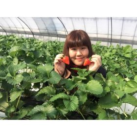 Pitchaporn先生【タイ語 - 新宿区 豊島区】