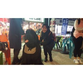 Sirewa先生【タイ語 - 大阪市】