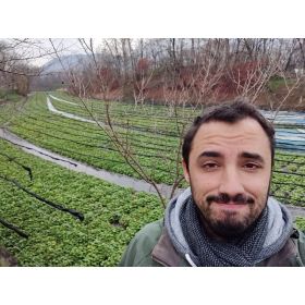 Manuel先生【スペイン語 - 大阪市】