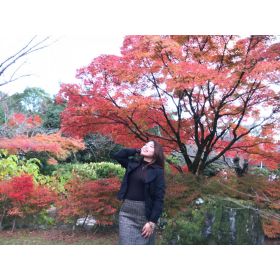 Crissica先生【英会話 - 京都府 大阪府 兵庫県】
