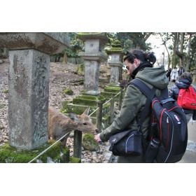 Marco先生【イタリア語 英会話 - 大阪府 兵庫県】