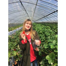 Nicole先生【英会話 - 京都府 大阪府】