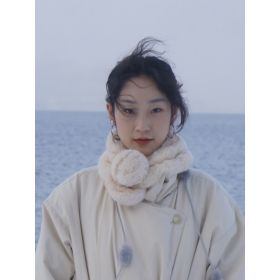 yitian先生【中国語（北京語） - 東京都 神奈川県】