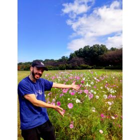 Daniel先生【スペイン語 英会話 - 東京都】