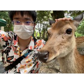 Erlu先生【中国語（北京語） - 京都市 宇治市 城陽市】