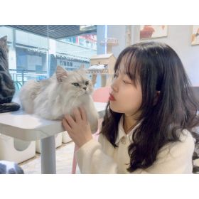 cookie先生【中国語(北京語) - 新宿区】