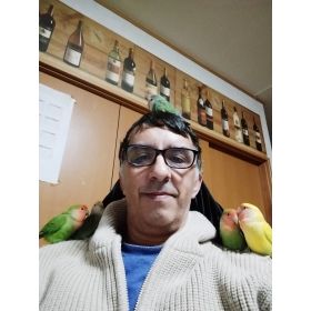 francisco先生【スペイン語 - 狭山市】