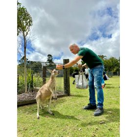 Antonios先生【英会話 - 名古屋市】