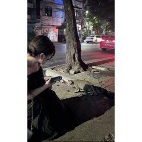 Nao先生【英会話 - 大阪府】