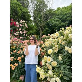 Prinda先生【タイ語 英会話 - 渋谷区 横浜市 川崎市】