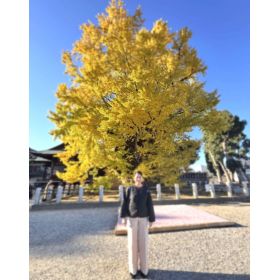 Oli先生【英会話 - 千葉県】