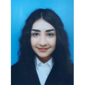 Negin先生【英会話 - 横浜市 川崎市】