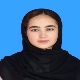 Faiza先生【英会話 - 埼玉県 東京都】