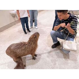 Cui先生【中国語（北京語） 韓国語 - 岐阜県 愛知県】