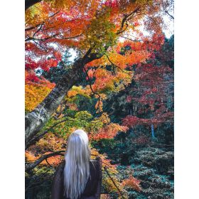 Mary先生【英会話 - 東京都】