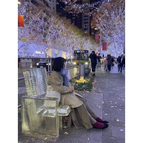 WU先生【中国語(北京語) - 横浜市】