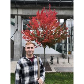 Lex先生【英会話 - 大阪市 堺市】