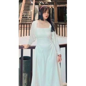 Doan先生【ベトナム語 - 東京都】