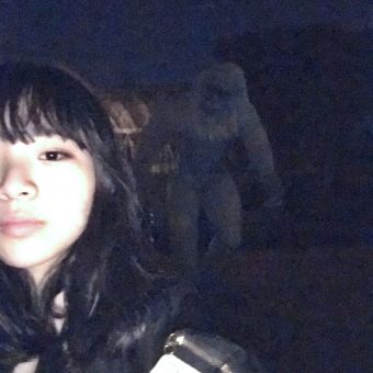 Kinuko先生【英会話 - 東京都】