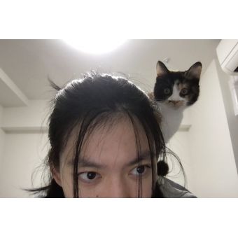 TENG先生【中国語(北京語) - 相模原市】