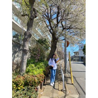 TRUONGTHI先生【ベトナム語 - 川口市 新宿区 北区】