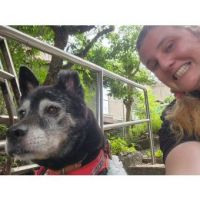 LeeAnne先生【英会話 - 名古屋市】 image 2