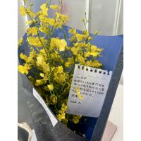 LALA先生【中国語(北京語) - 東京都】 image 2