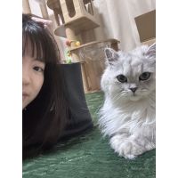 WANG先生【中国語(北京語) - 川越】 image 2